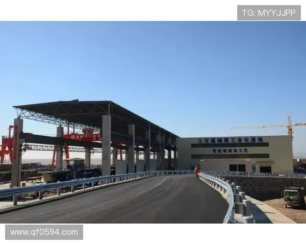 国家队惊险逆转夺冠引爆全城欢庆推动体育强国建设迈向新时代篇章